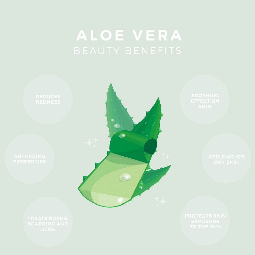 aloe vera beauty benefits diagram