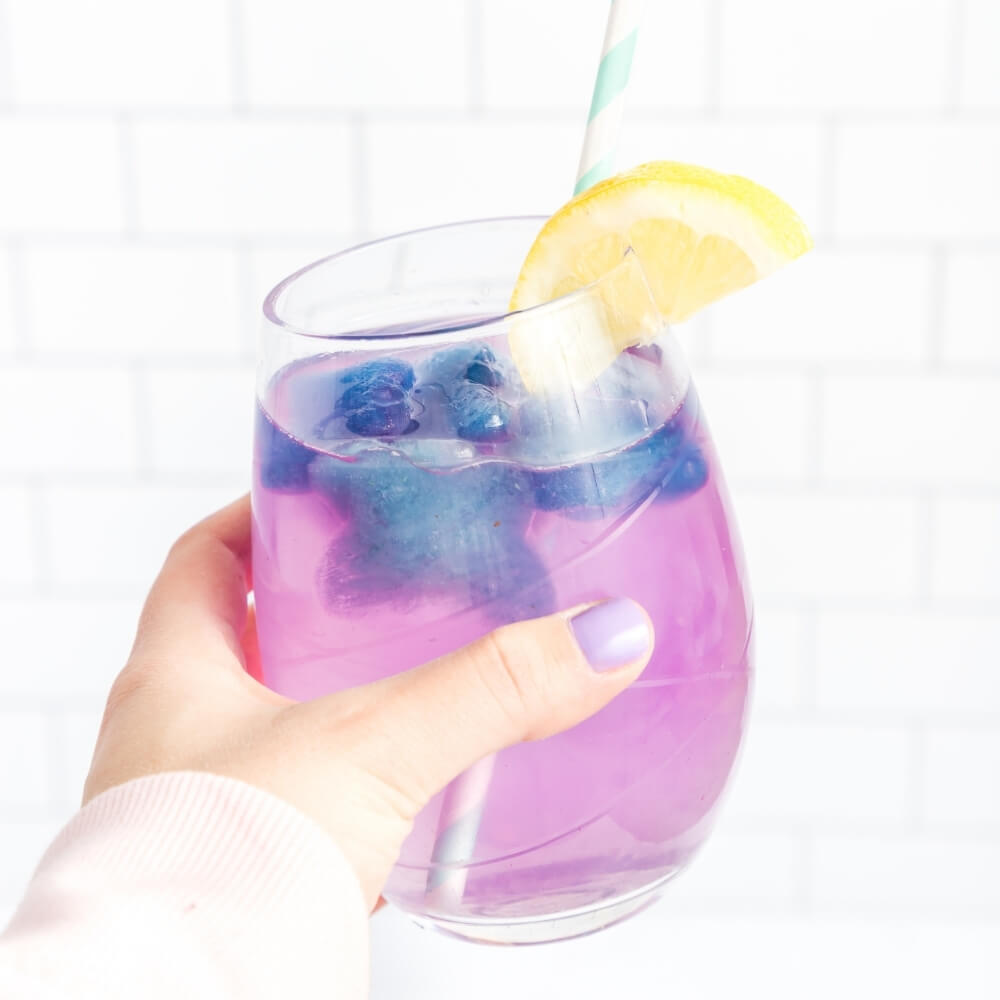 iced teami butterfly tea with blueberries and lemon in a glass