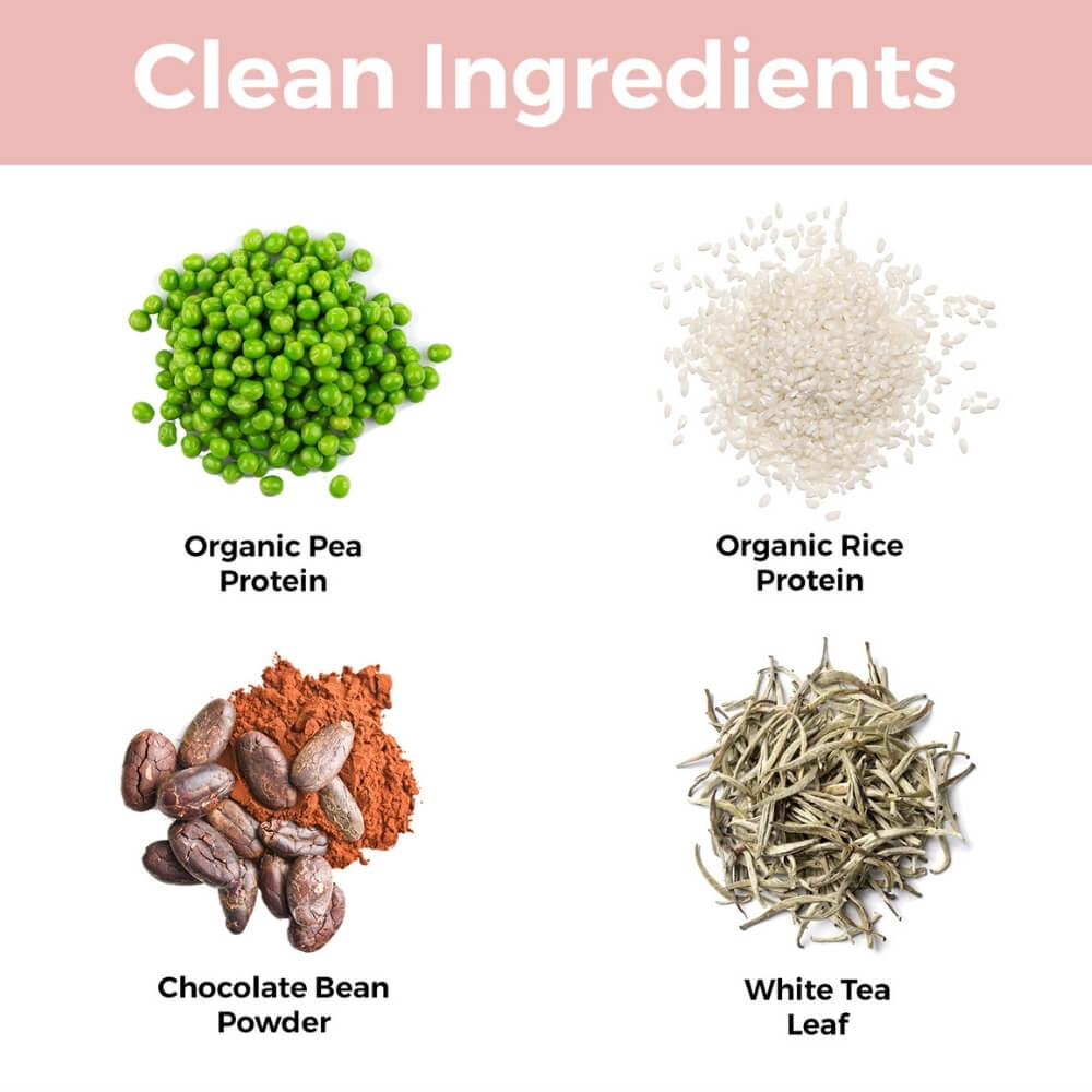 Clean ingredients included in Teami plant based wellness protein; organic pea protein, organic rice protein, chocolate bean powder and white tea leaf